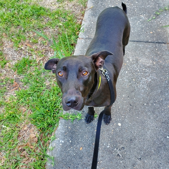 Meet your Posher, Leslie - Picture 2 of 2